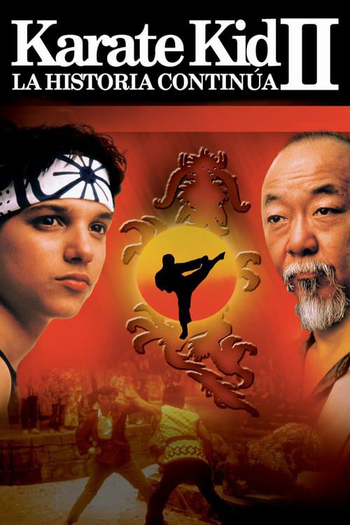 Karate Kid 2: La Historia Continúa
