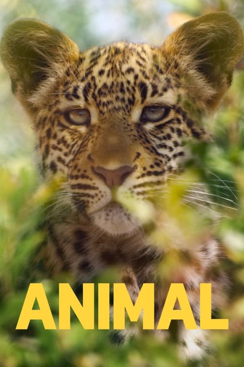 Animal Temporada 1