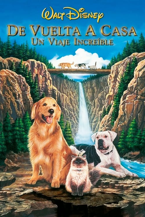 Volviendo a Casa: Un Viaje Increíble (1993) [WEB-DL 1080p]