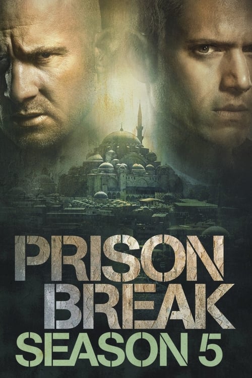 Prison Break Temporada 5 (2017)